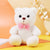 Cute Plush LED Doll