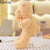 30cm Lovely Simulation Teddy Bear