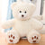 Pearl Pendant Teddy Bear