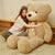 Milan Teddy Bear