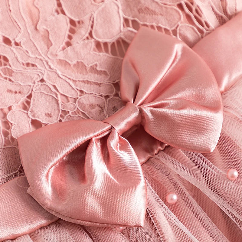 Lace Embroidery  Prom Gown