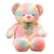 Colorful Teddy Bear