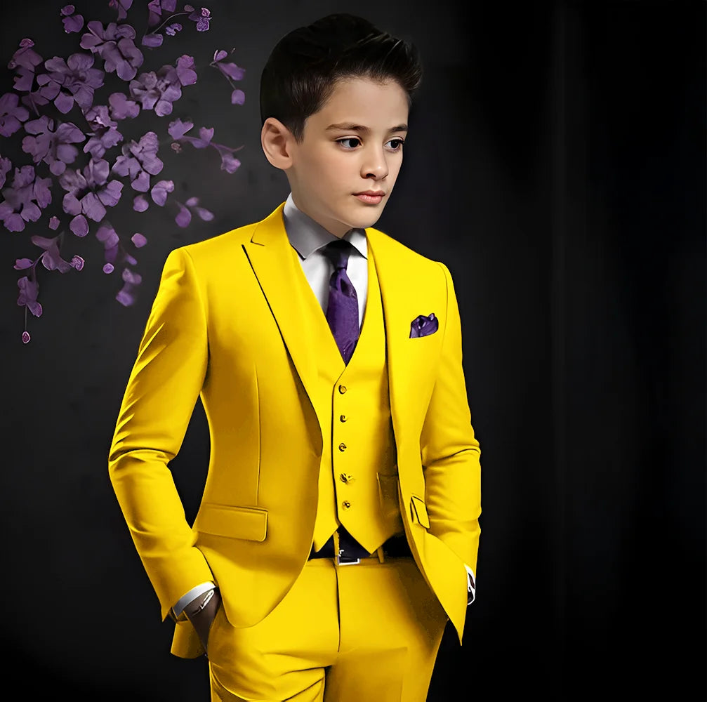 Boys  3 Piece Set  Suits