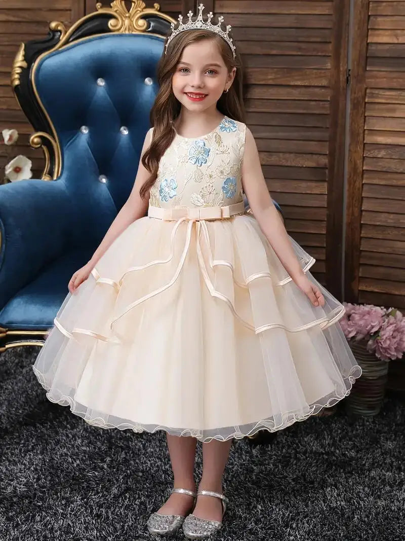 Sleeveless Flower Embroidery Tutu Dress