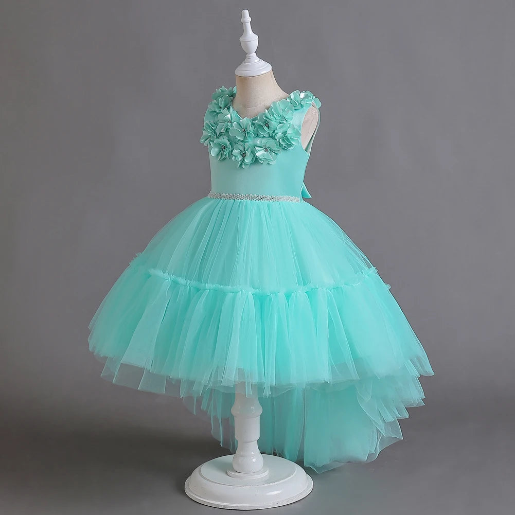 Girl princess dress