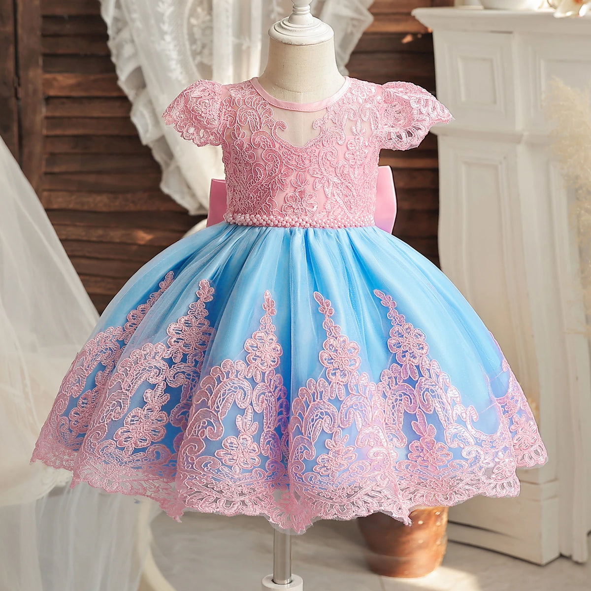Princess Embroidery Dress