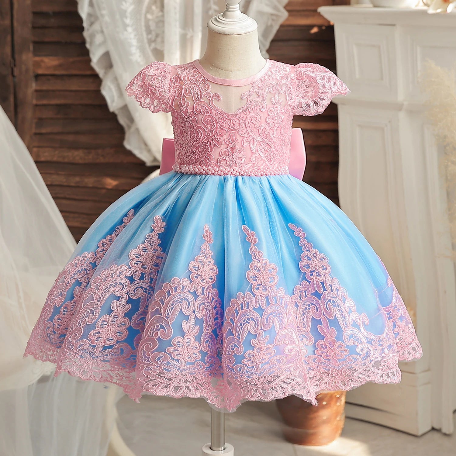Princess Embroidery Dress