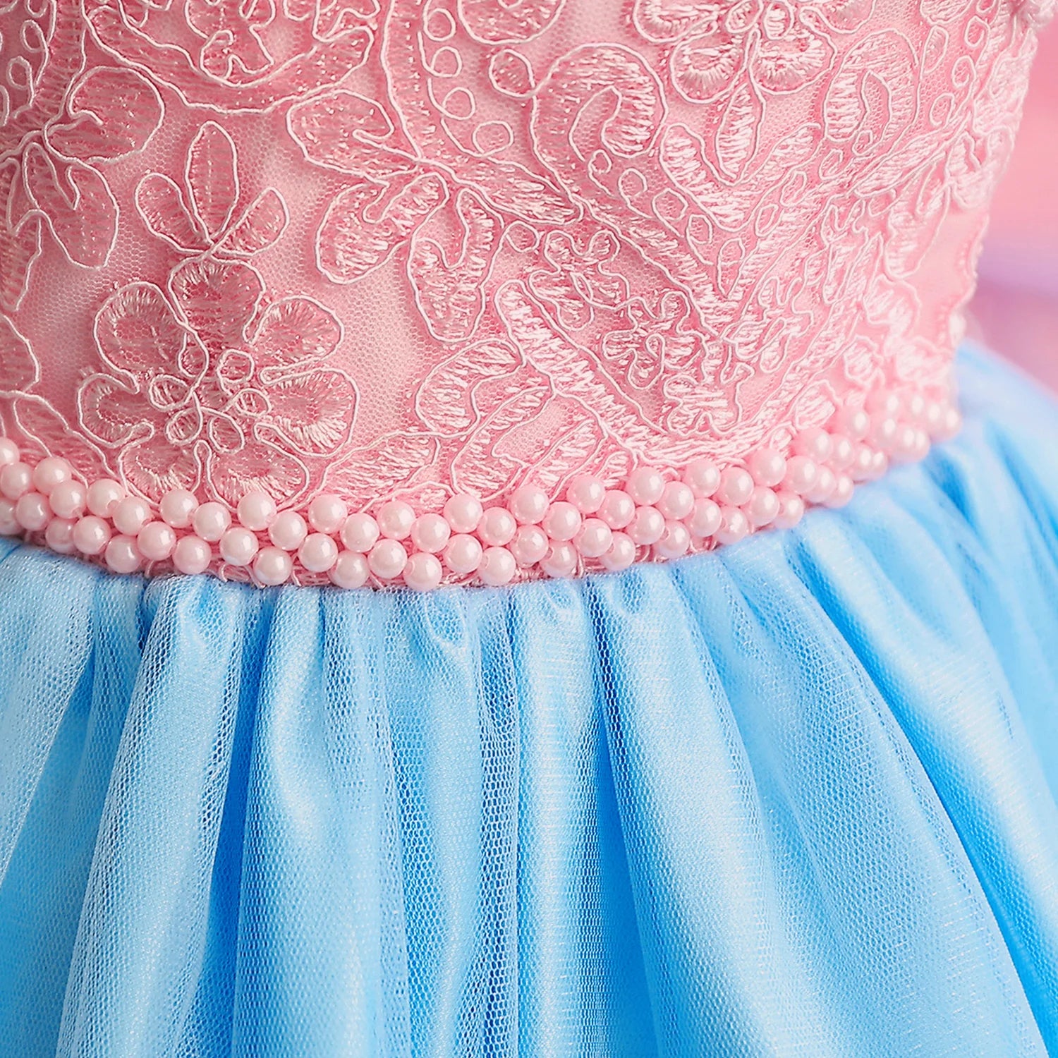Princess Embroidery Dress