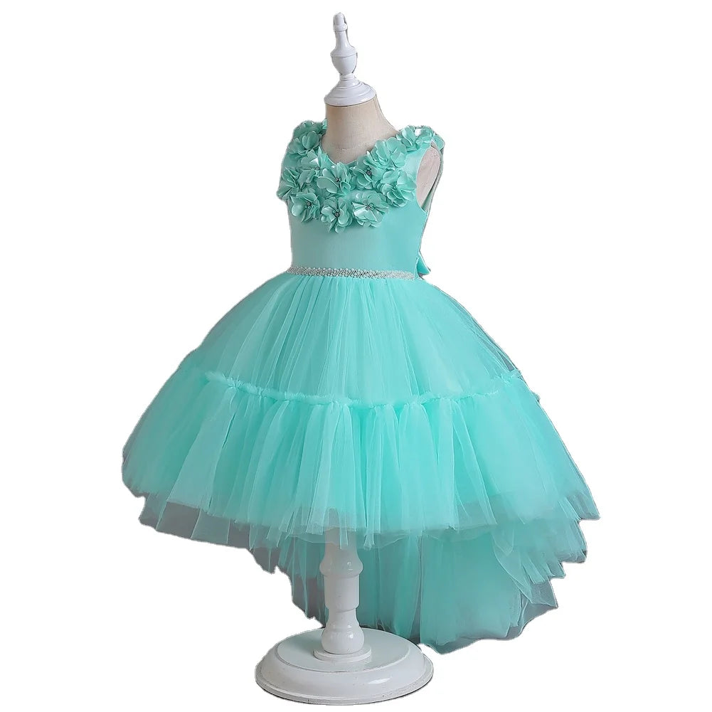 Girl princess dress