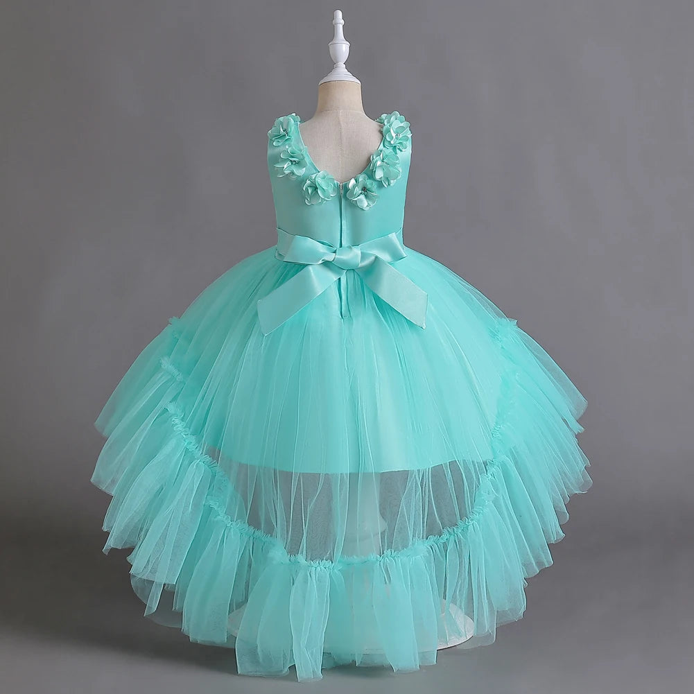 Girl princess dress