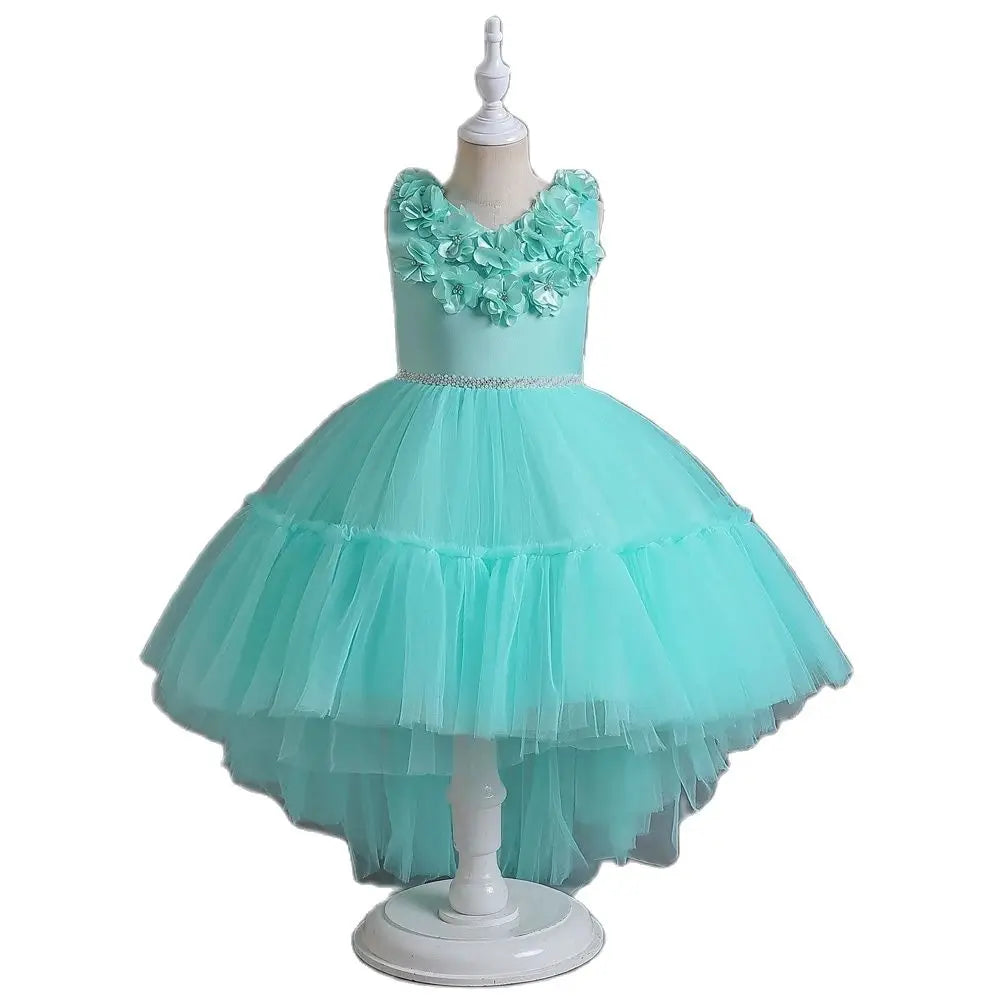 Girl princess dress