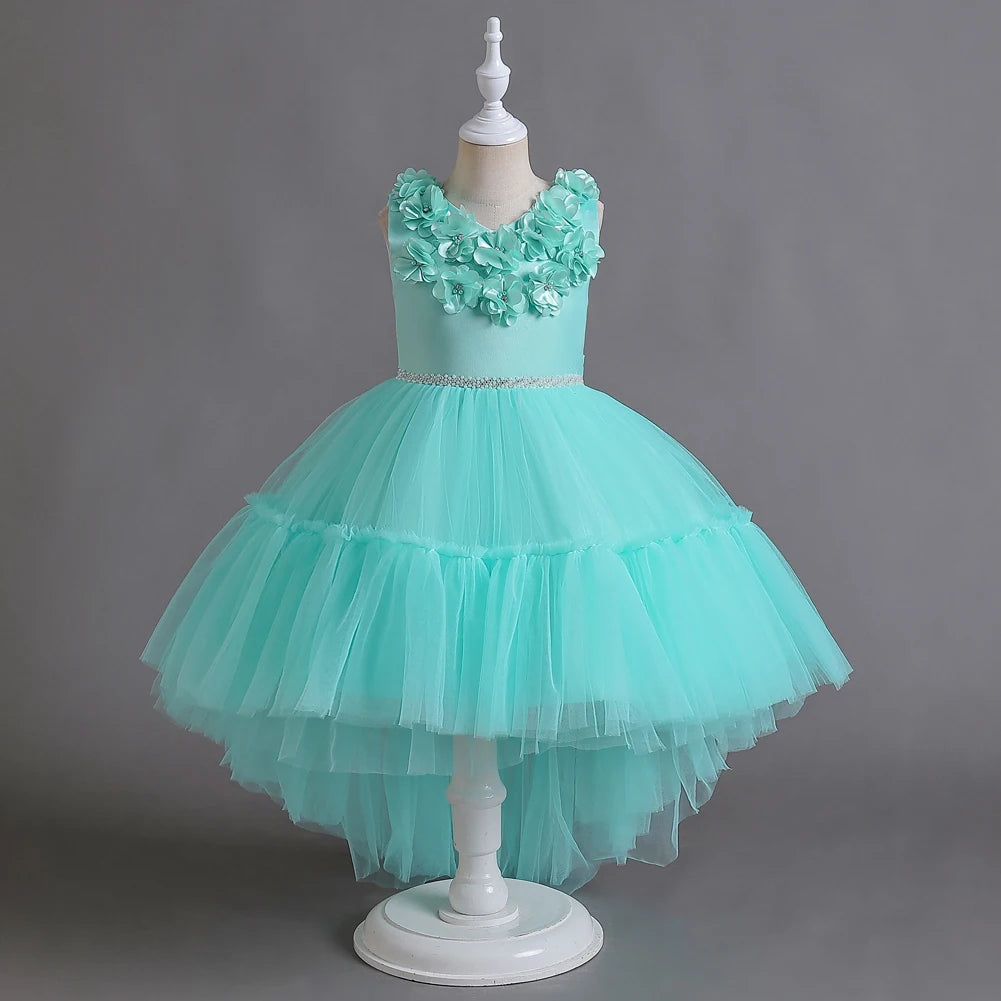 Girl princess dress