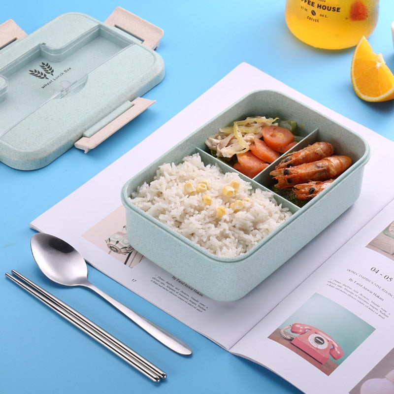 Kids Heated Lunchbox