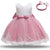 Lace Party Dress for Girls Birthday  Christening