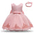 Lace Party Dress for Girls Birthday  Christening