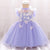 Butterfly Lace Tulle Girl Dress