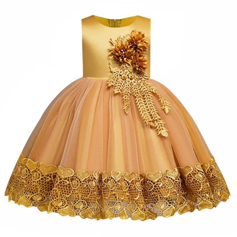 lace Mesh Princess Dress