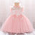 Butterfly Lace Tulle Girl Dress