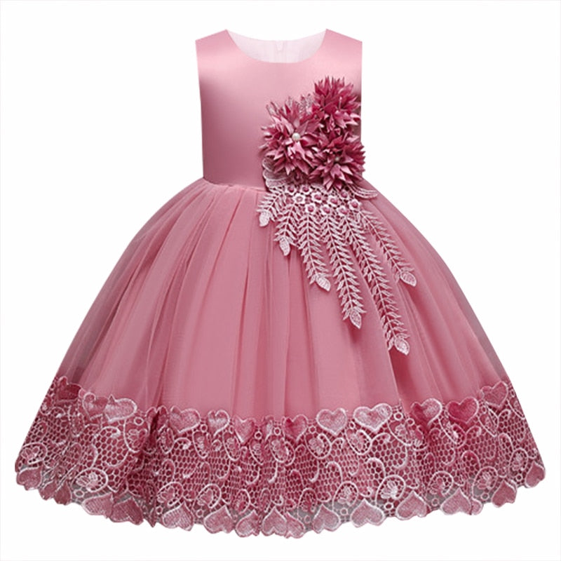 lace Mesh Princess Dress