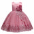 lace Mesh Princess Dress