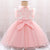 Butterfly Lace Tulle Girl Dress