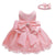 Lace Party Dress for Girls Birthday  Christening