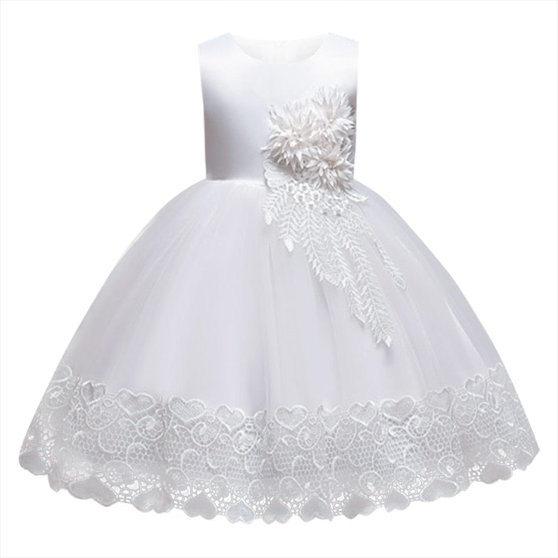 lace Mesh Princess Dress