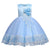 lace Mesh Princess Dress