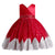 Princess  Baby  Girl Dress